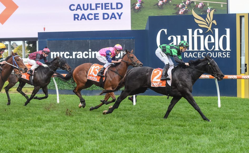 Barbies Fox Flashes Home To Win At Caulfield Just Racing