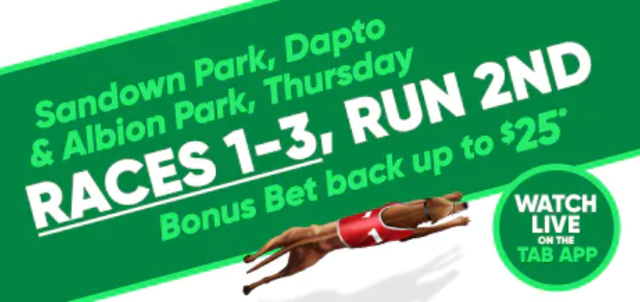 greyhound tab bet albion park bonus runs 2nd racing dapto