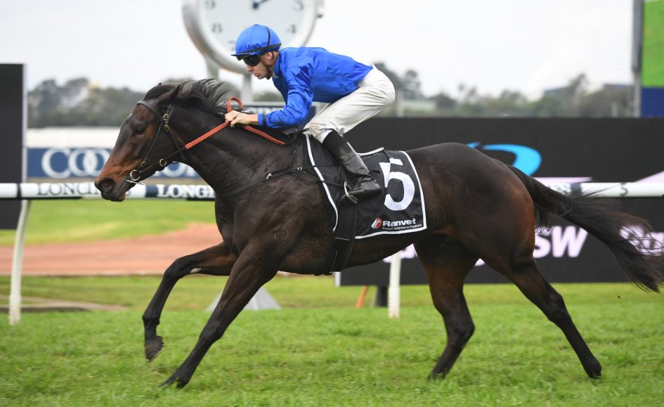 Varda emerges as a spring contender at Rosehill | Just Racing