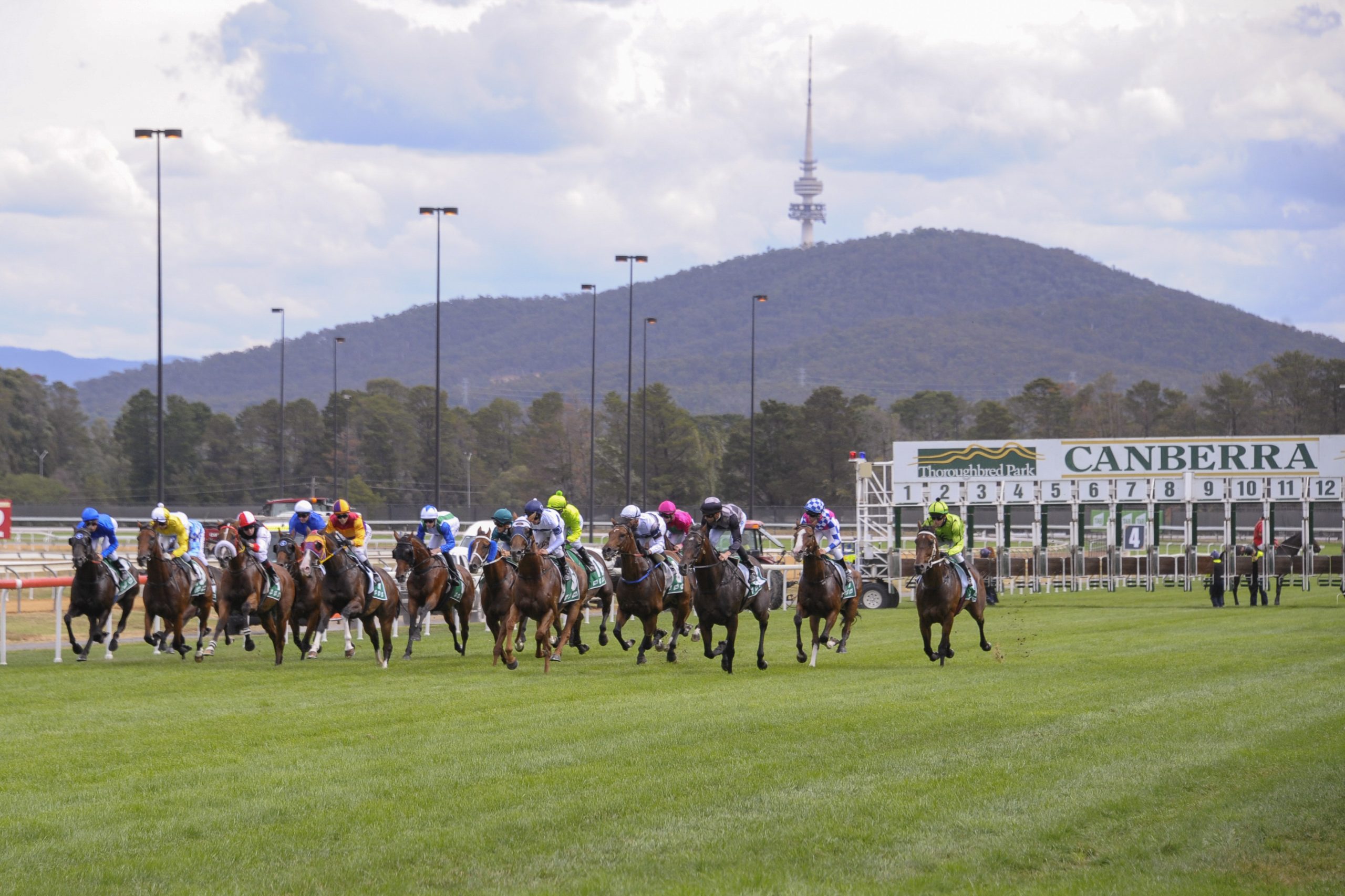 4/8/2023 Horse Racing Tips, Selections and Best Bets Canberra Just