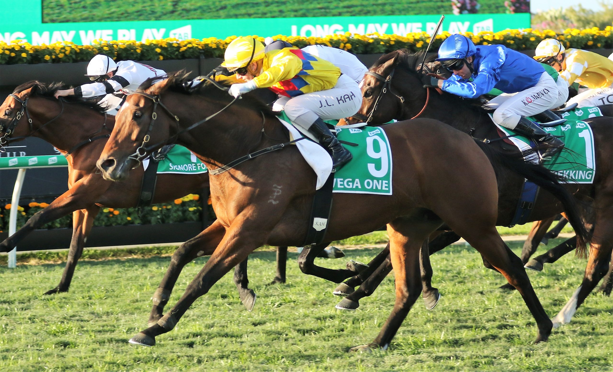 Vega One fighting fit for the G1 Stradbroke Handicap | Just Racing