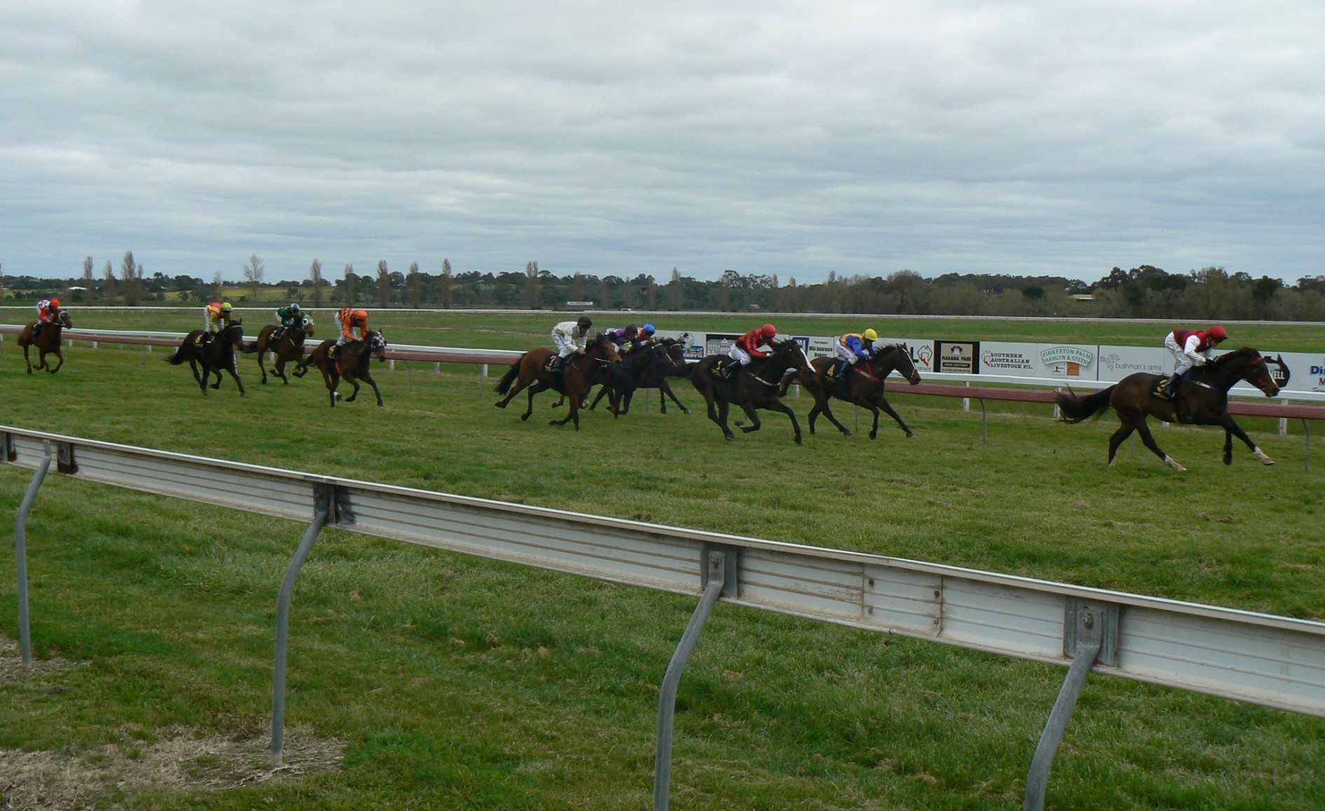 12/2/2023 Horse Racing Tips, Selections and Best Bets Naracoorte