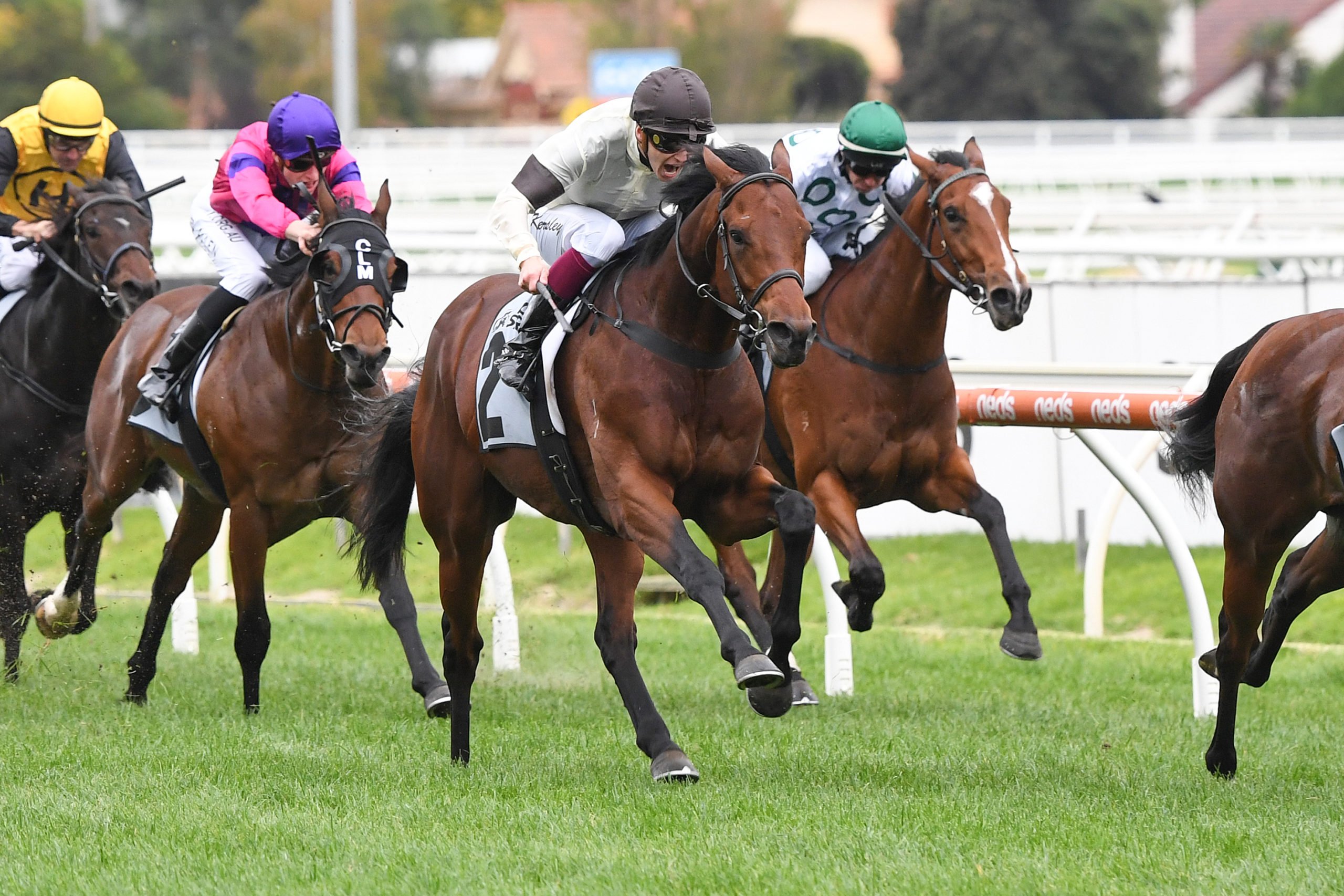 2/12/2023 Horse Racing Tips, Selections And Best Bets – Caulfield ...