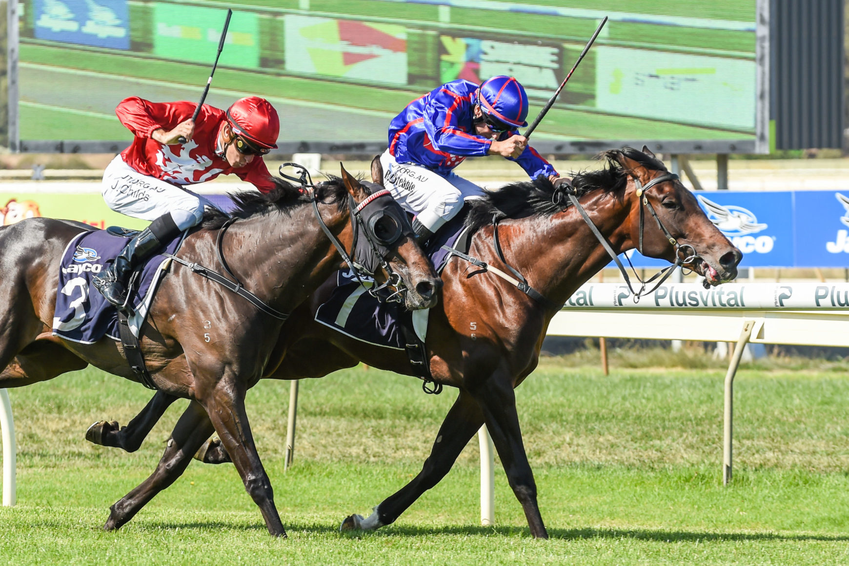 St Arnicca takes out Grand National Steeplechase Just Racing