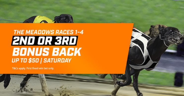 The Meadows Greyhound Racing Bonus Back On Fixed Odds Offer! | February ...